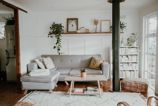 Couch and table in a living room with a plant hanging down from a shelf